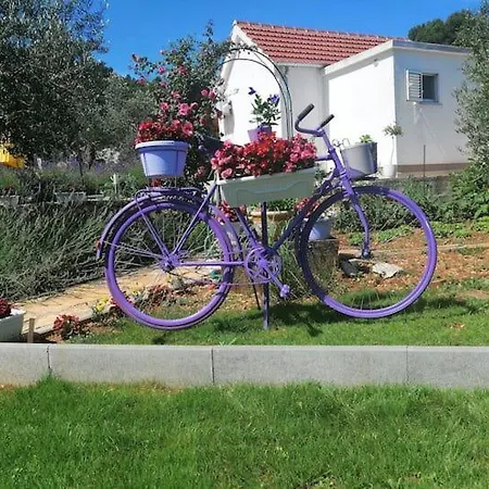 Feriehus House Marie's Lavander Dream *